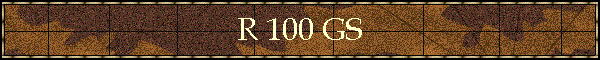R 100 GS